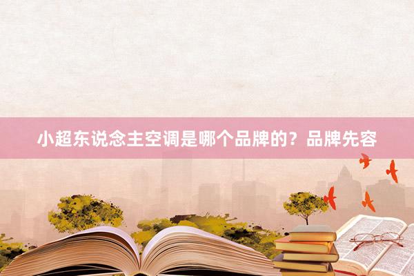 小超东说念主空调是哪个品牌的？品牌先容