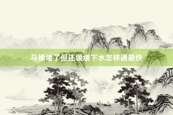 马桶堵了但还缓缓下水怎样通最快