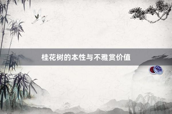 桂花树的本性与不雅赏价值